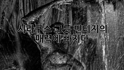 시라쿠스 그릇: 빈티지의 매력에 빠지다