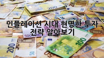 인플레이션 시대, 현명한 투자 전략 알아보기